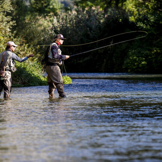 Pesca in Liguria, via libera regionale all'immissione di trote