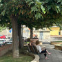 Foto Gruppo Facebook Vivi Imperia
