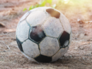 Parchi giochi e sicurezza: il problema delle pallonate a Diano Marina Parchi giochi e sicurezza: il problema delle pallonate a Diano Marina