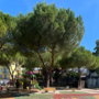 Teppisti al parco di Cervo, il Comune costretto a chiudere i battenti