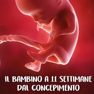 Per la campagna Prolife, un camion vela per ricordare i quarant’anni dell'introduzione della legge 194 sull’aborto in Italia