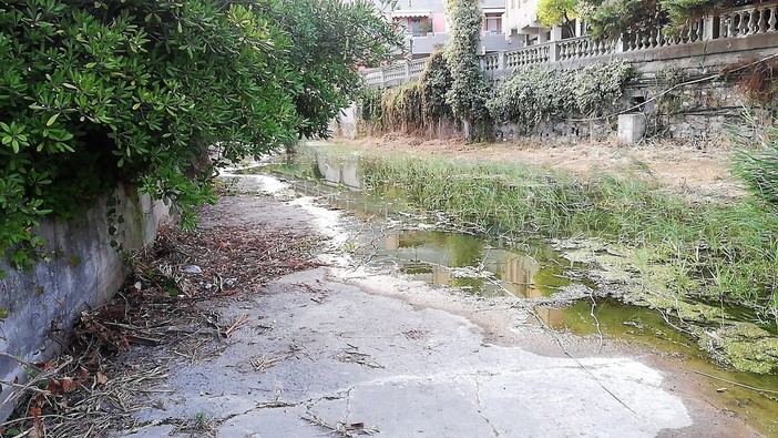 Diano Marina: dalla pulizia dei torrenti una discarica, raccolti 10 sacchi di spazzatura e tanti ingombranti