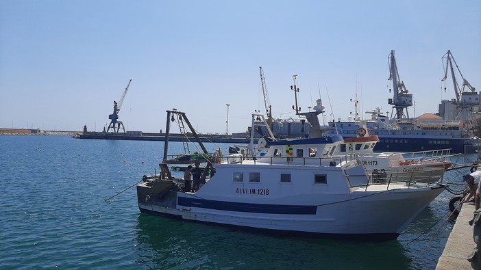 Imperia, un mare più pulito: nasce un’alleanza tra Comune e pescatori contro l'inquinamento marino Imperia, un mare più pulito: nasce un’alleanza tra Comune e pescatori contro l'inquinamento marino