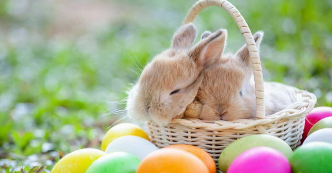 Speciale weekend di Pasqua e Pasquetta: tre giorni di sole e grandi eventi in tutta la provincia di Imperia Speciale weekend di Pasqua e Pasquetta: tre giorni di sole e grandi eventi in tutta la provincia di Imperia