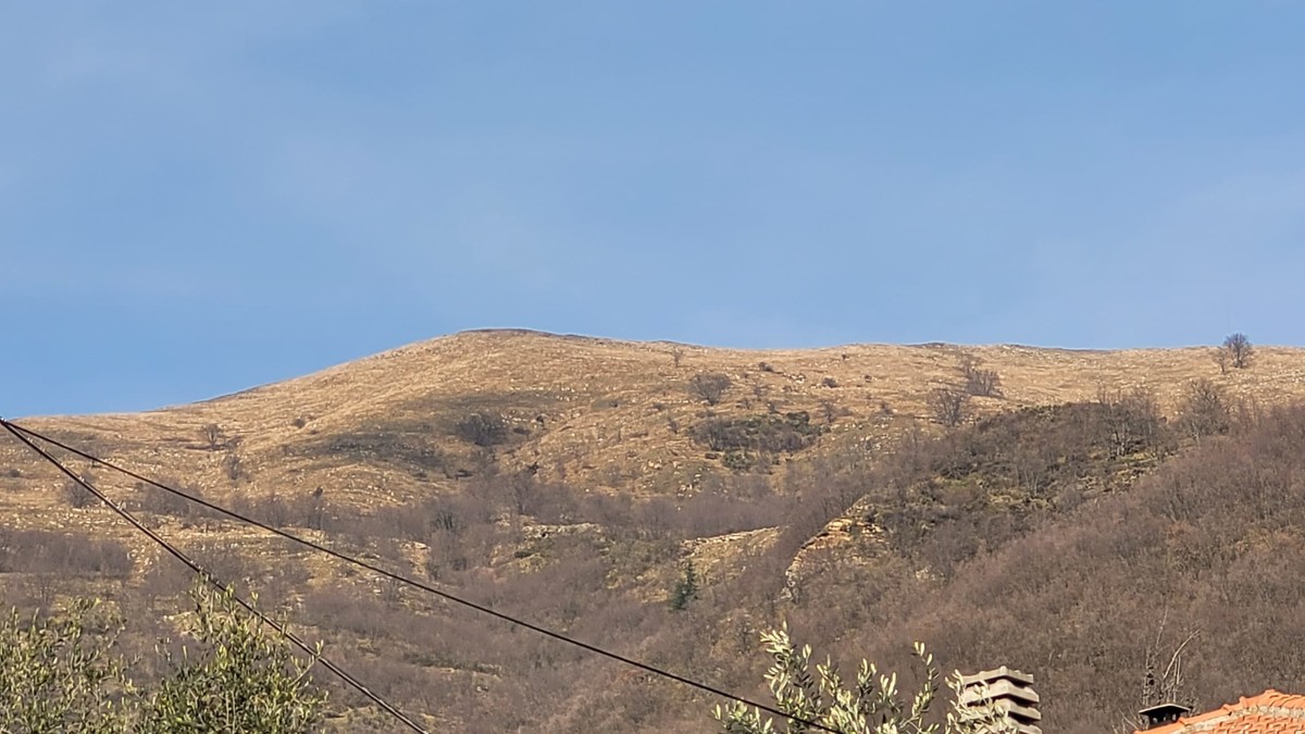 Foto Christian Flammia