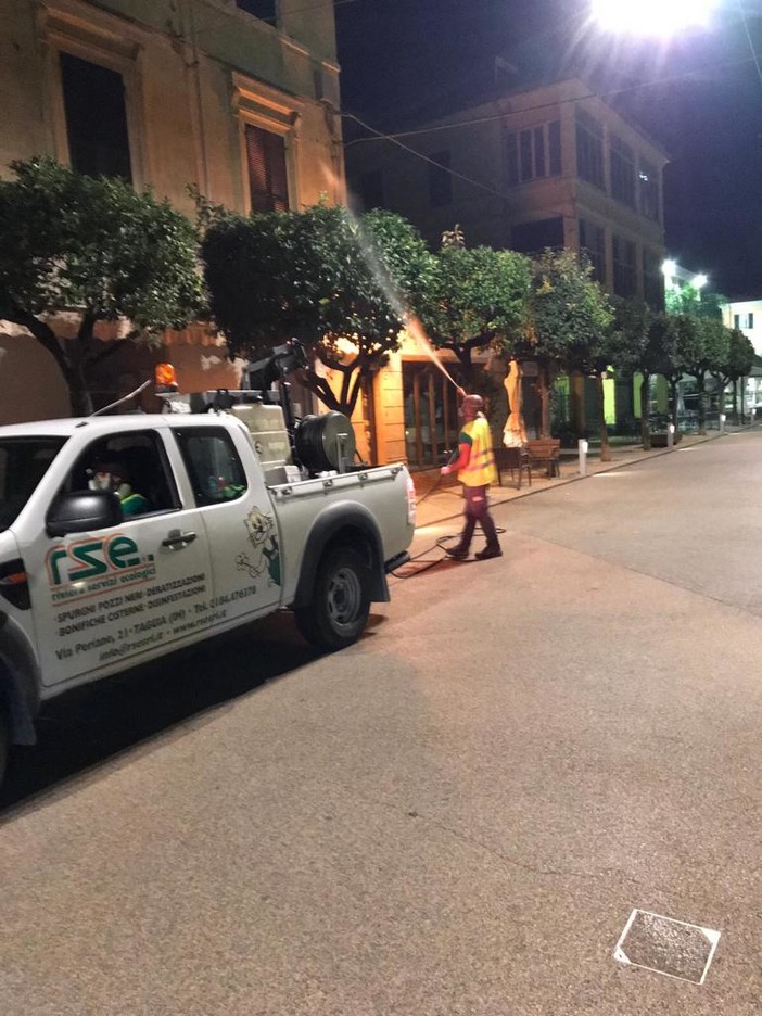 Diano Marina, ieri sera la pulizia degli agrumi nelle vie del centro attaccati dalla cocciniglia Diano Marina, ieri sera la pulizia degli agrumi nelle vie del centro attaccati dalla cocciniglia