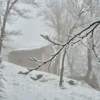 ARPAL. Allerta gialla per neve nell'entroterra Savonese