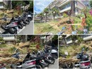 Imperia, vento stacca rami e pezzi di palma davanti al 'Ruffini'