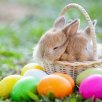 Speciale weekend di Pasqua e Pasquetta: tre giorni di sole e grandi eventi in tutta la provincia di Imperia