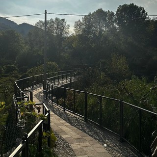 LIGURIA VERDE. A Chiusavecchia un nuovo percorso ciclo-pedonale e un oliveto LIGURIA VERDE. A Chiusavecchia un nuovo percorso ciclo-pedonale e un oliveto