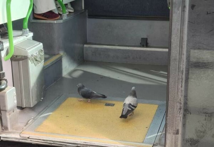 Disabilità e caos Rt. Ivan Bracco: "Ogni giorno un viaggio della speranza" Disabilità e caos Rt. Ivan Bracco: "Ogni giorno un viaggio della speranza"