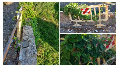 LA SEGNALAZIONE. Via Airenti a Porto Maurizio, il ponte di pietra dimenticato dal servizio Decoro urbano LA SEGNALAZIONE. Via Airenti a Porto Maurizio, il ponte di pietra dimenticato dal servizio Decoro urbano