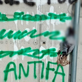 Imperia, piccione impiccato con scritta “antifa”: la denuncia de La Talpa e l’Orologio