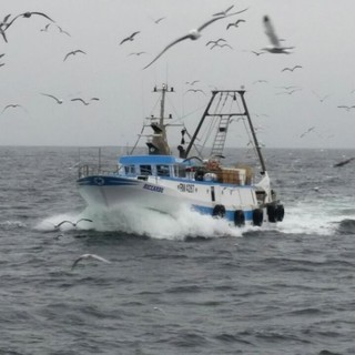 Decreto Legge ‘Rilancio’: Coldiretti “Bene estensione di misure a sostegno del settore ittico”