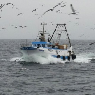Regione Liguria: approvate linee indirizzo formazione su salute e sicurezza sul lavoro marittimi su barche da pesca