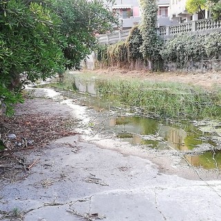 Diano Marina: dalla pulizia dei torrenti una discarica, raccolti 10 sacchi di spazzatura e tanti ingombranti