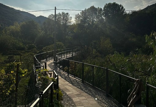 LIGURIA VERDE. A Chiusavecchia un nuovo percorso ciclo-pedonale e un oliveto LIGURIA VERDE. A Chiusavecchia un nuovo percorso ciclo-pedonale e un oliveto
