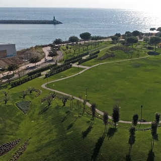 Imperia, il Comune cerca un direttore per la manutenzione del verde pubblico