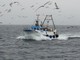 Regione Liguria: approvate linee indirizzo formazione su salute e sicurezza sul lavoro marittimi su barche da pesca Regione Liguria: approvate linee indirizzo formazione su salute e sicurezza sul lavoro marittimi su barche da pesca