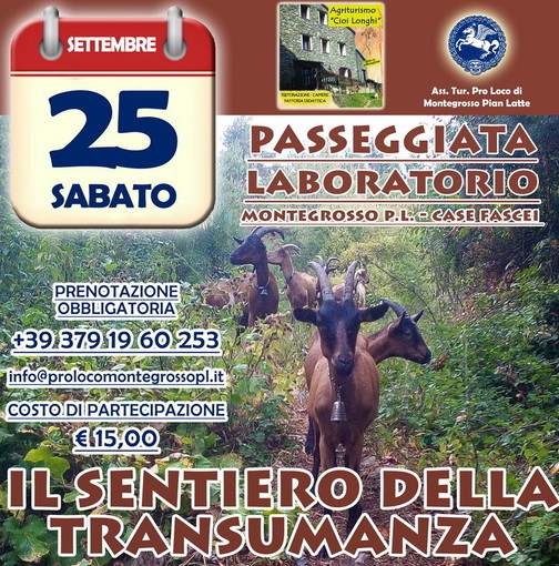 Montegrosso Pian Latte: ‘Il sentiero della transumanza, una giornata a contatto con la natura e con la tradizione. Tutti i dettagli Montegrosso Pian Latte: ‘Il sentiero della transumanza, una giornata a contatto con la natura e con la tradizione. Tutti i dettagli
