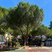 Teppisti al parco di Cervo, il Comune costretto a chiudere i battenti