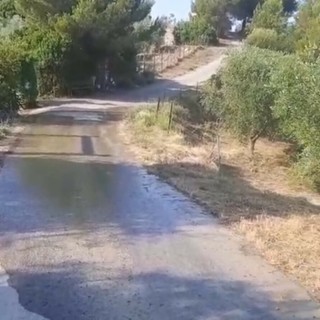 Regione Panegai, torna l'emergenza perdite: da una settimana acqua dispersa tra Villaggio Merea e Passo del Maggiore