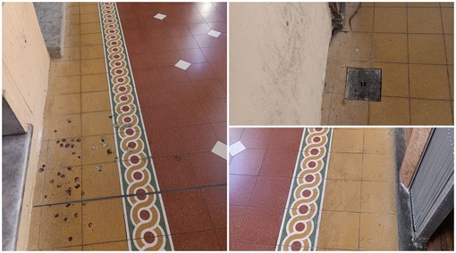 Portici sporchi per “ImperiAntiquaria”, commercianti di via Bonfante arrabbiati