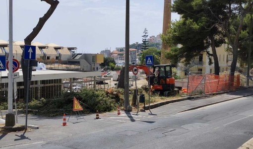 Ex Sairo, Bozzano dopo il taglio dei tre pini: "Una scelta che lascia rammaricati" Ex Sairo, Bozzano dopo il taglio dei tre pini: "Una scelta che lascia rammaricati"