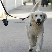 Caravonica, appello contro l'inciviltà dei padroni dei cani