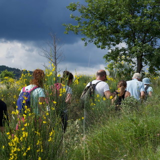 Successo per l'undicesima edizione della 'Passeggiata tra gli ulivi e le ginestre' (foto)