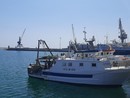 Imperia, un mare più pulito: nasce un’alleanza tra Comune e pescatori contro l'inquinamento marino Imperia, un mare più pulito: nasce un’alleanza tra Comune e pescatori contro l'inquinamento marino