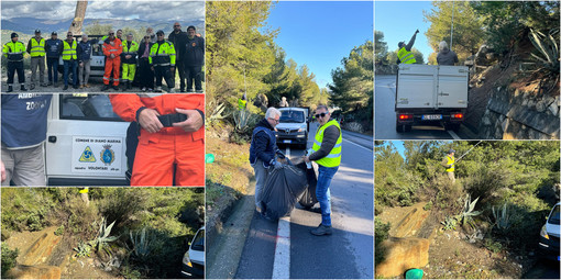 Allarme Processionaria a Diano Marina, alberi e strada ripuliti sul Berta Allarme Processionaria a Diano Marina, alberi e strada ripuliti sul Berta