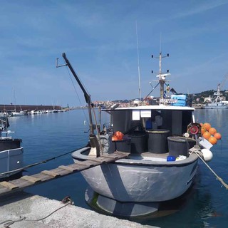Coldiretti: “Bene l'approvazione della legge 'Salva mare', in Liguria operative due isole ecologiche”