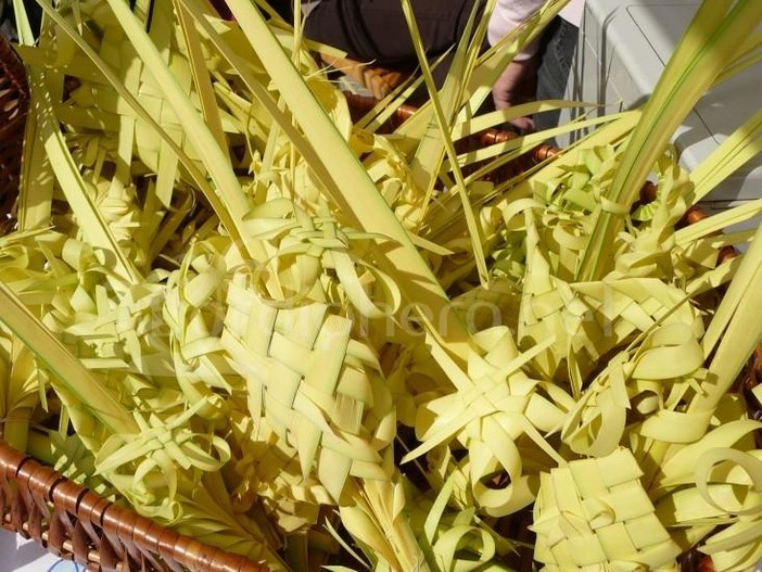 I parmureli della Domenica delle Palme