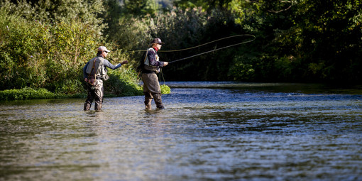 Pesca in Liguria, via libera regionale all'immissione di trote Pesca in Liguria, via libera regionale all'immissione di trote