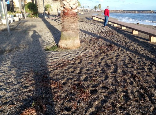 Maltempo, situazione critica al porto di San Bartolomeo al Mare, Urso &quot;Gravi danni a struttura e imbarcazioni&quot; (foto)