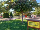 Un sogno che diventa realtà: al parco della Giraffa a Rotelle una merenda con le principesse Disney