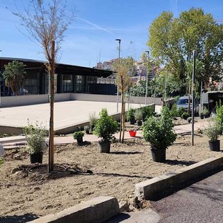 Bosco urbano sul lungomare Vespucci, Scajola: "In arrivo il nuovo parcheggio"