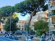 Imperia, sicurezza in via Scarincio: verrà rimosso un pino instabile Imperia, sicurezza in via Scarincio: verrà rimosso un pino instabile