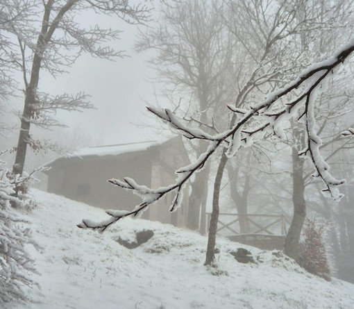ARPAL. Allerta gialla per neve nell'entroterra Savonese