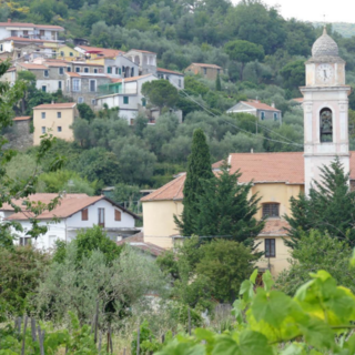 Festa della Castagna a Pantasina