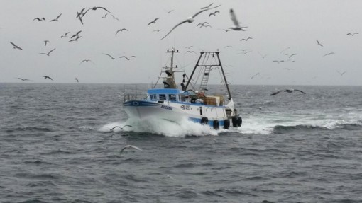Regione Liguria: approvate linee indirizzo formazione su salute e sicurezza sul lavoro marittimi su barche da pesca