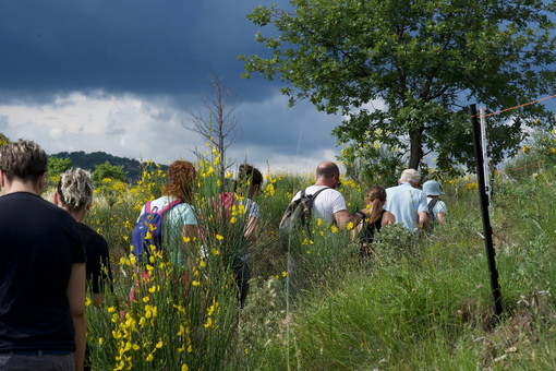 Successo per l'undicesima edizione della 'Passeggiata tra gli ulivi e le ginestre' (foto)