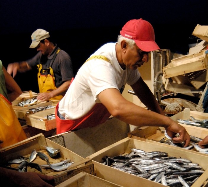La storia. La crisi delle acciughe liguri: anche nei mercati imperiesi le alici arrivano dalla Spagna La storia. La crisi delle acciughe liguri: anche nei mercati imperiesi le alici arrivano dalla Spagna