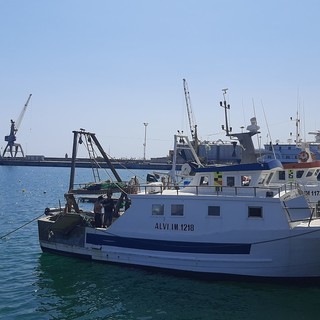 Imperia, un mare più pulito: nasce un’alleanza tra Comune e pescatori contro l'inquinamento marino