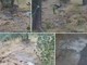 Imperia, acquedotto rotto da oltre dieci giorni: l’acqua invade le “fasce” e la strada rischia di cedere Imperia, acquedotto rotto da oltre dieci giorni: l’acqua invade le “fasce” e la strada rischia di cedere