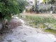 Diano Marina: dalla pulizia dei torrenti una discarica, raccolti 10 sacchi di spazzatura e tanti ingombranti