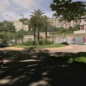 Bosco urbano o foglia di fico? Il retroscena dietro l’oasi verde di Lungomare Vespucci secondo il Pd Bosco urbano o foglia di fico? Il retroscena dietro l’oasi verde di Lungomare Vespucci secondo il Pd