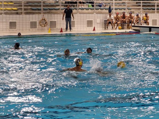 Foto Flammia Foto Flammia