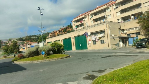 BUONE NOTIZIE. Cane investito alla rotonda di Caramagna: rintracciato il conducente grazie alle telecamere